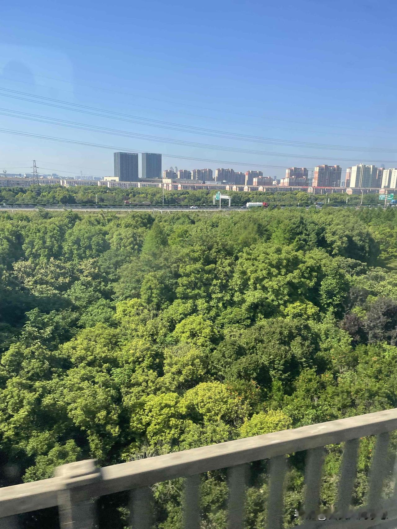 两岁的孩子什么都懂，小宝知道我今天要走了，早上起来搂着我的脖子不撒手。

今天回