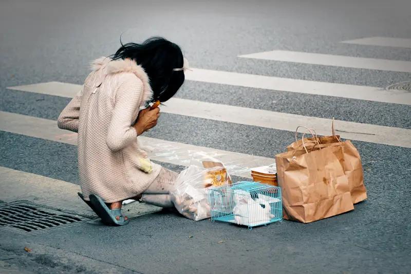 5月6日，江西上饶婺女洲度假区女乞丐NPC快被投喂成“工伤”了，游客热情投喂，当