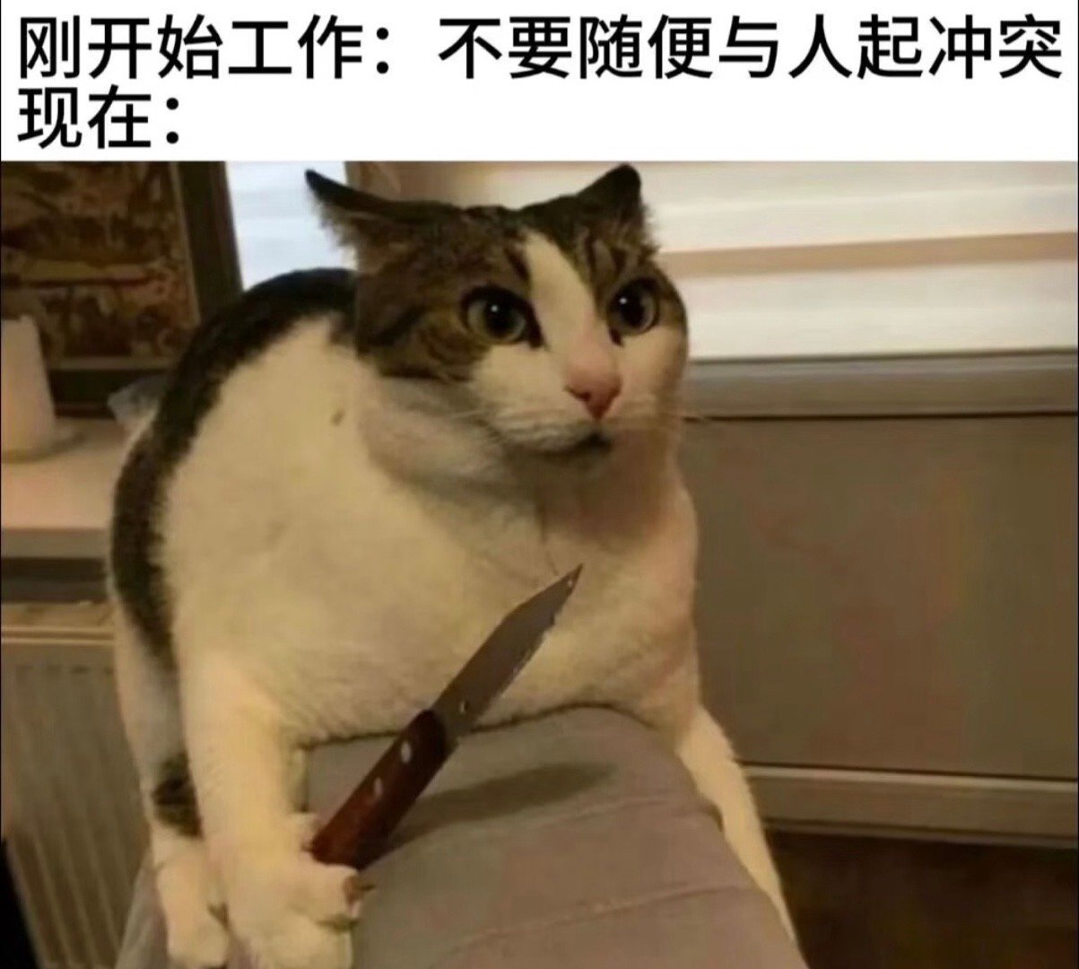 十四，火天大有日正中天，防物极必反注意头部，心脏，呼吸宜，结婚 订婚 祈福 祭祀