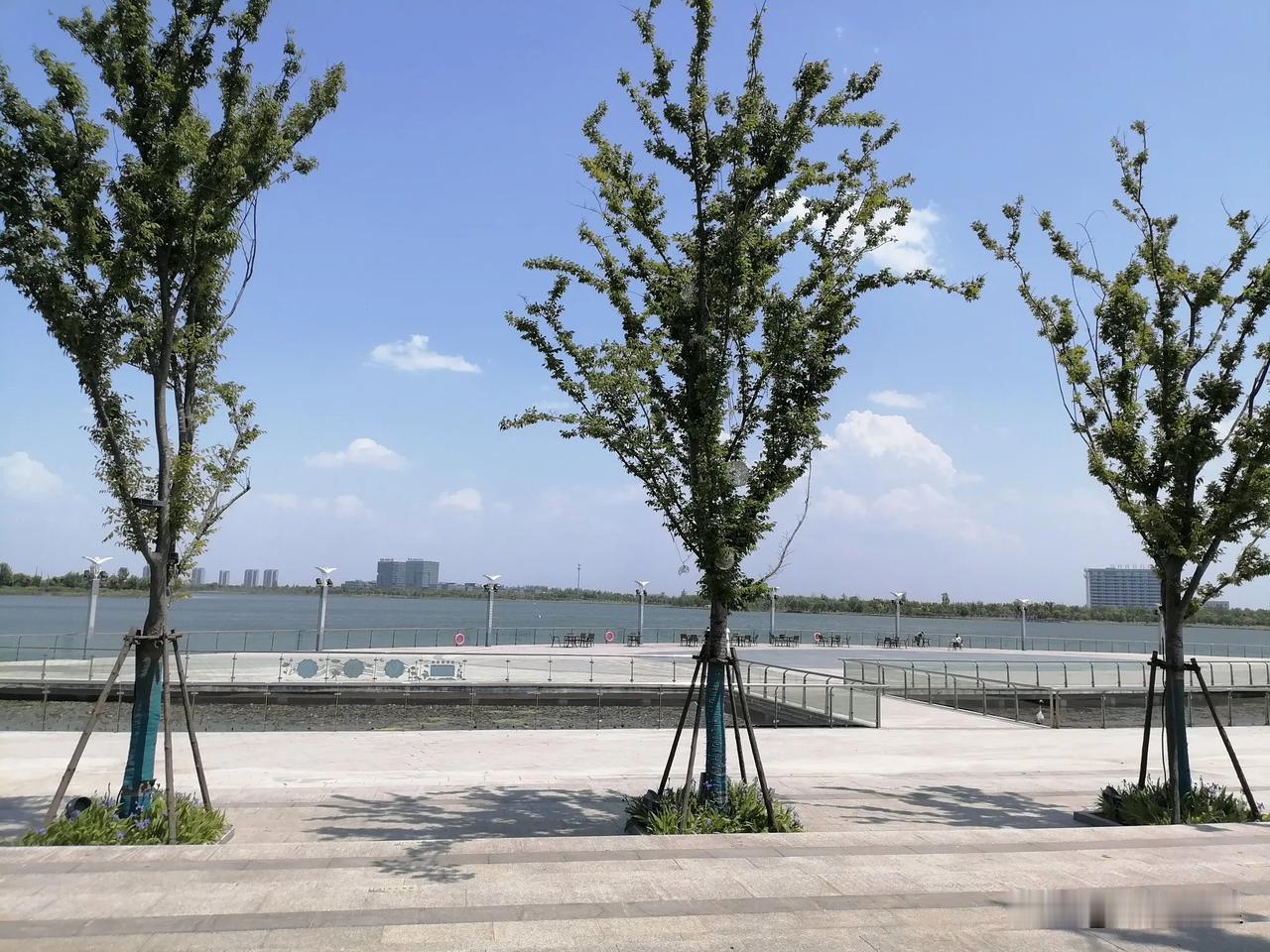 游謇公湖
2025 05 01
乙巳劳动节，
畅游謇公湖。
春风皱水面，
画舫影
