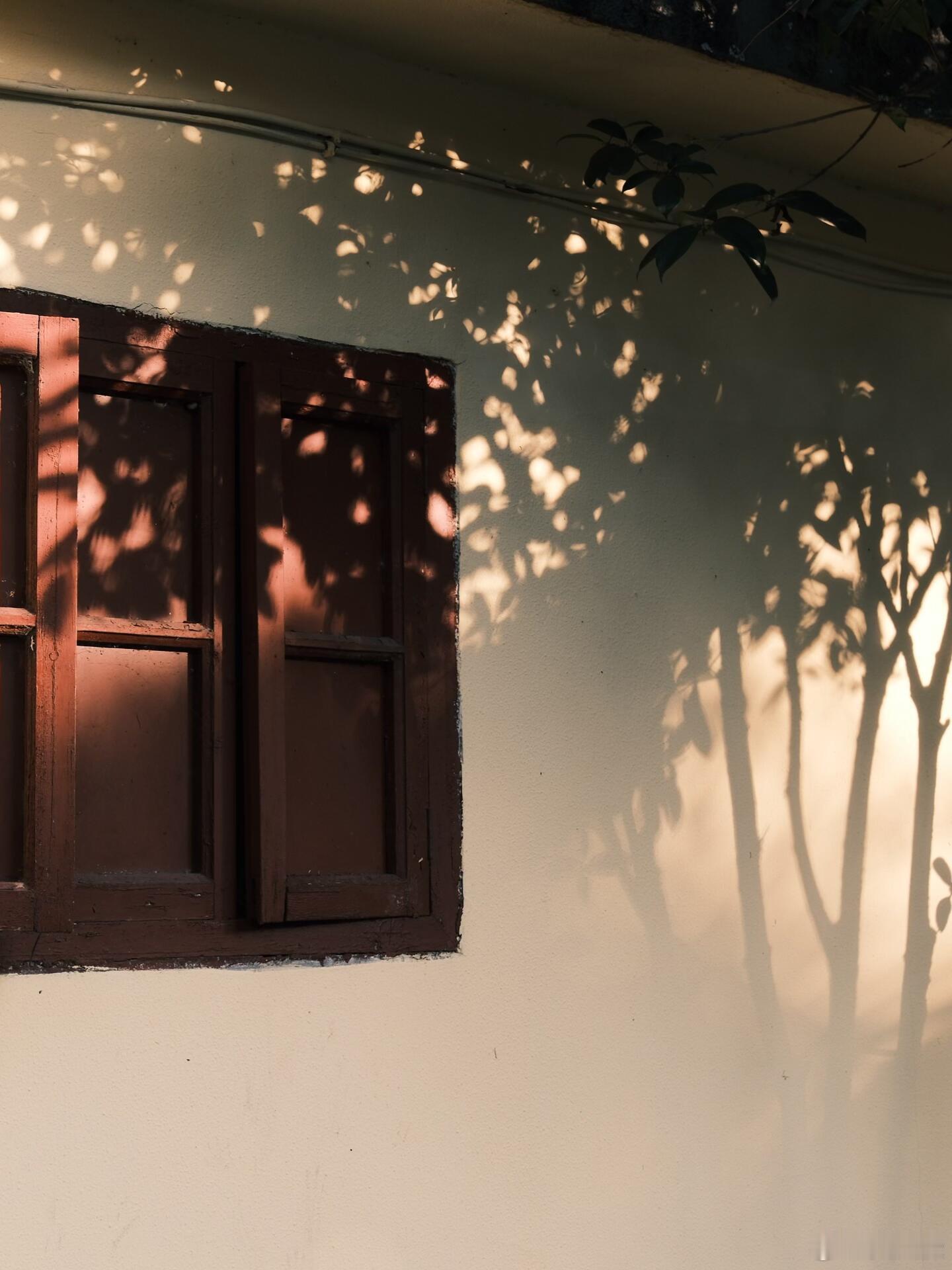 把一切看淡，心也就不会那么累了。人，其实不需要太多的东西，只要健康的活着，平淡的