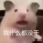 今天追了什么剧 ​​​