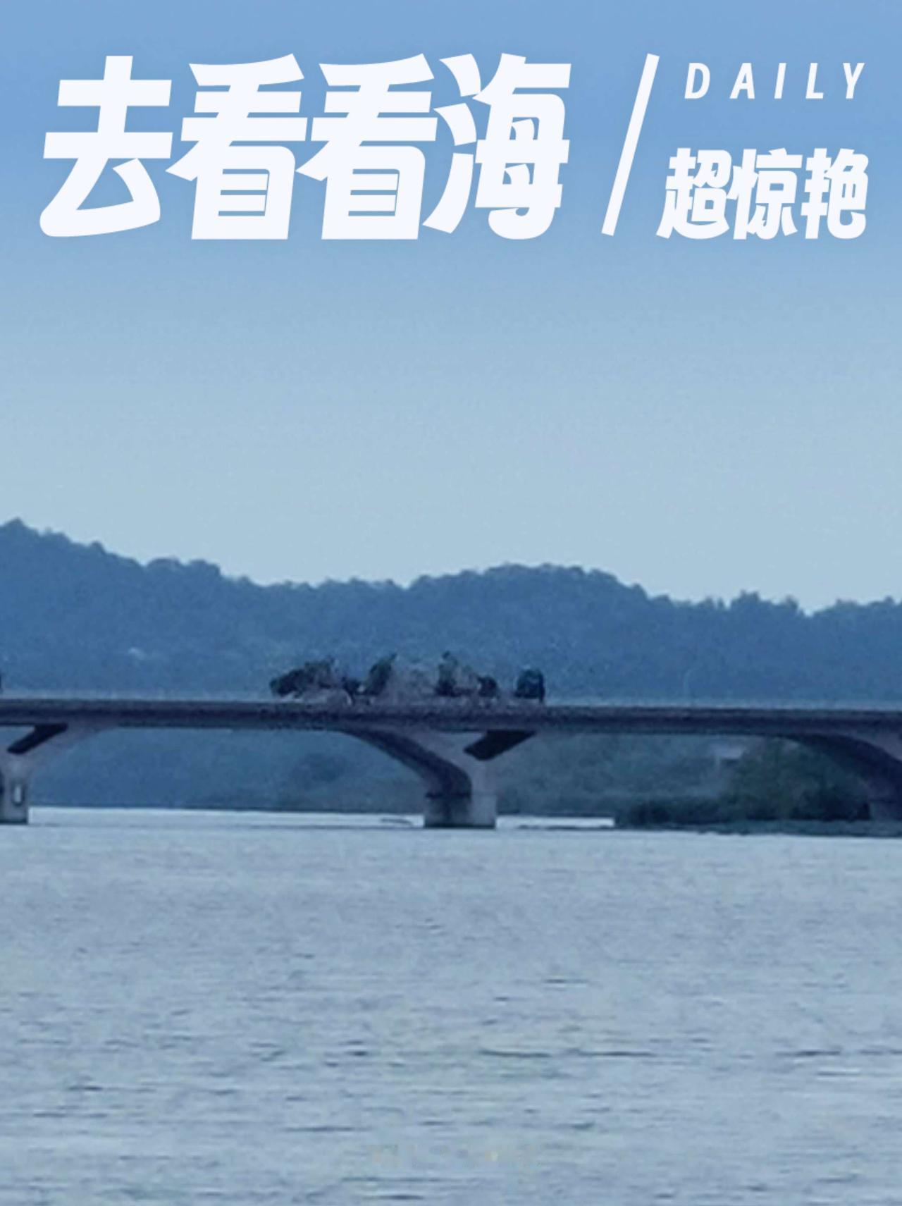 湖是卧龙湖，花是岸边荷，风里有了秋天的味道。