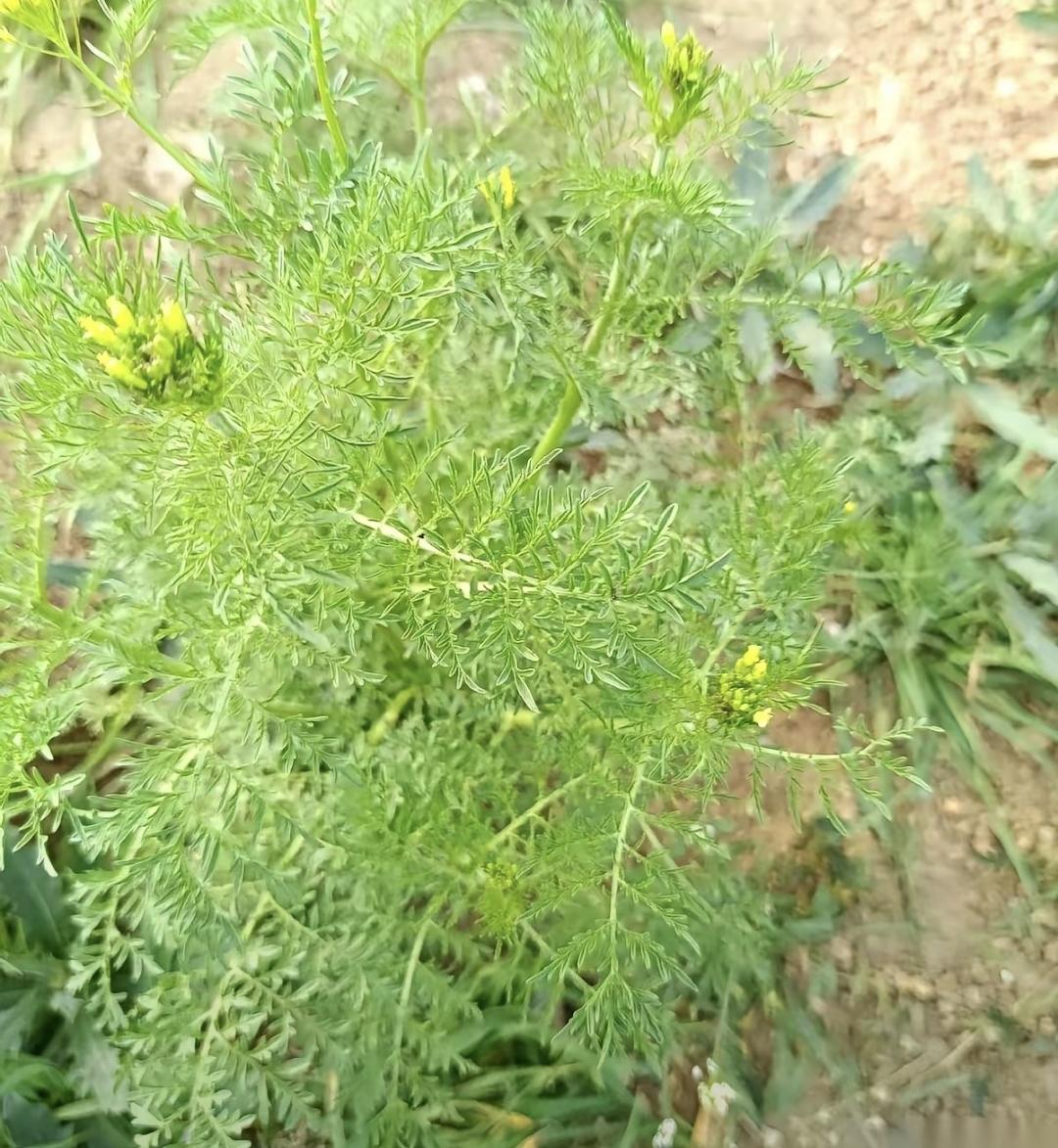 男人顿住手，女人挺着肚子，户口本还空着。
这不是谁对谁错的事，是两个人都卡在了“