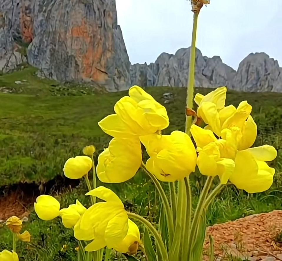 当前北京二手房市场呈现“两上三下”特征，想买房的你该不该出手？

与10月相比，