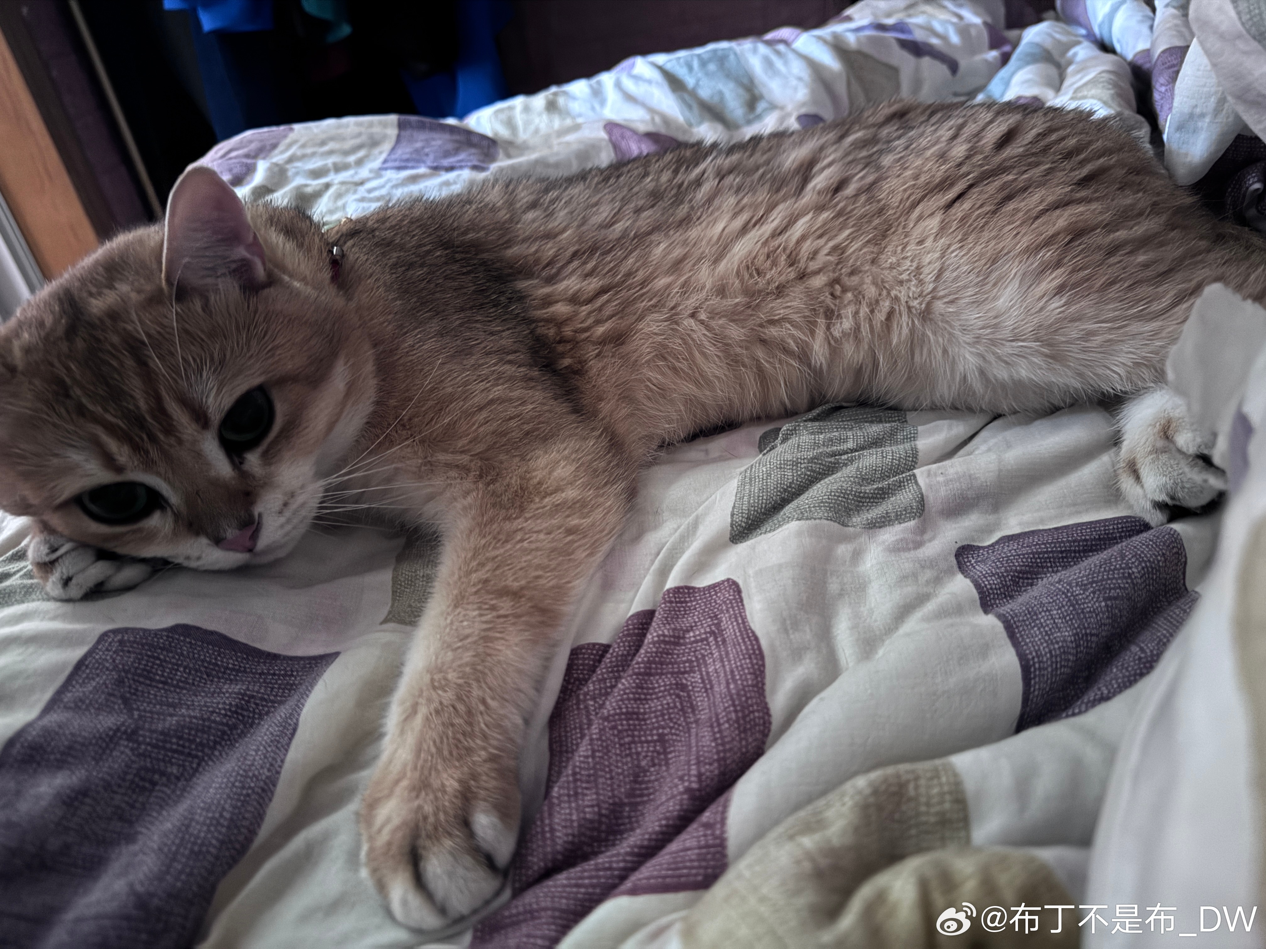 嗨～ 