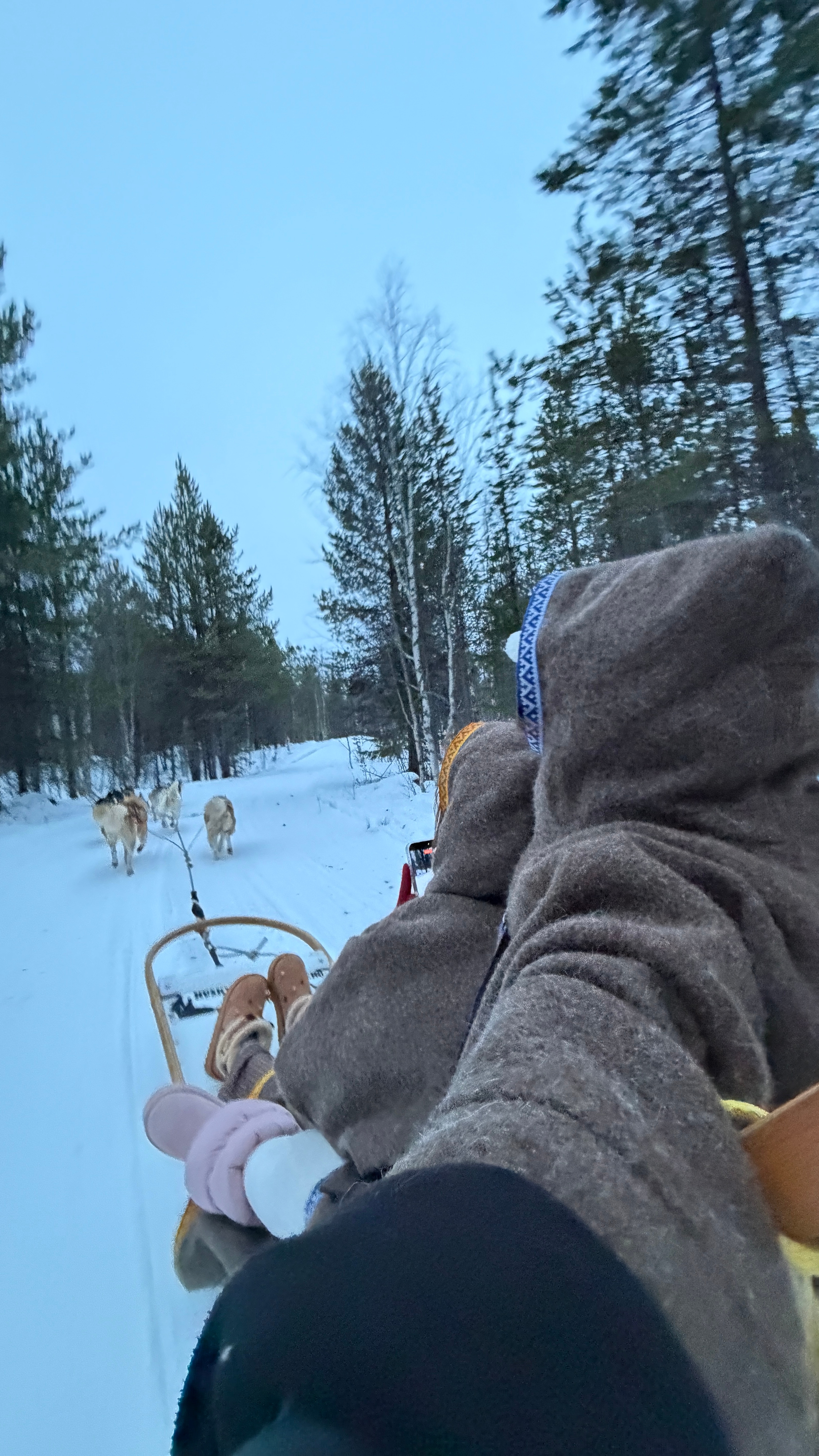 今天来哈士奇公园玩了。直接没信号了一整天。好喜欢今天的穿搭一只粉粉的小米菲兔^^