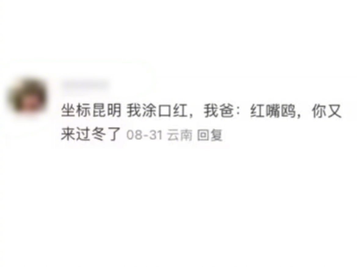 阴阳怪气中体现出了云南人生态保护人与自然和谐共处的意识[允悲] ​​​