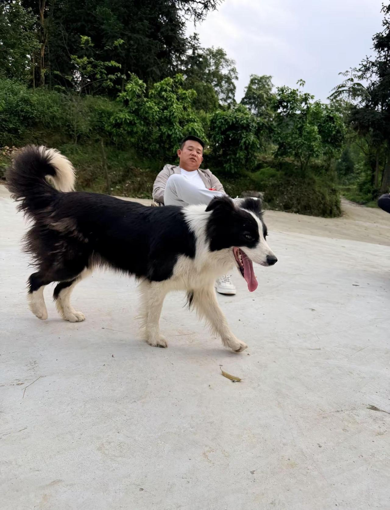 五一 忙碌之余，寻一处清闲，卸下满身疲惫。抛开琐事与烦恼，慢下来感受时光。漫步乡
