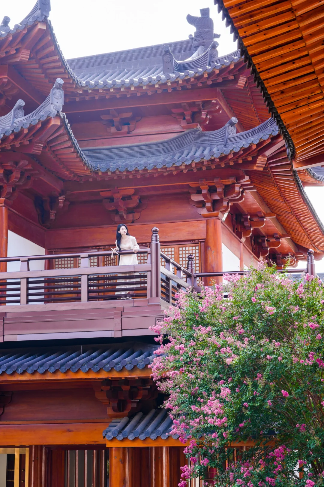 宁波市中心的宝藏寺庙，满园秋色藏不住了