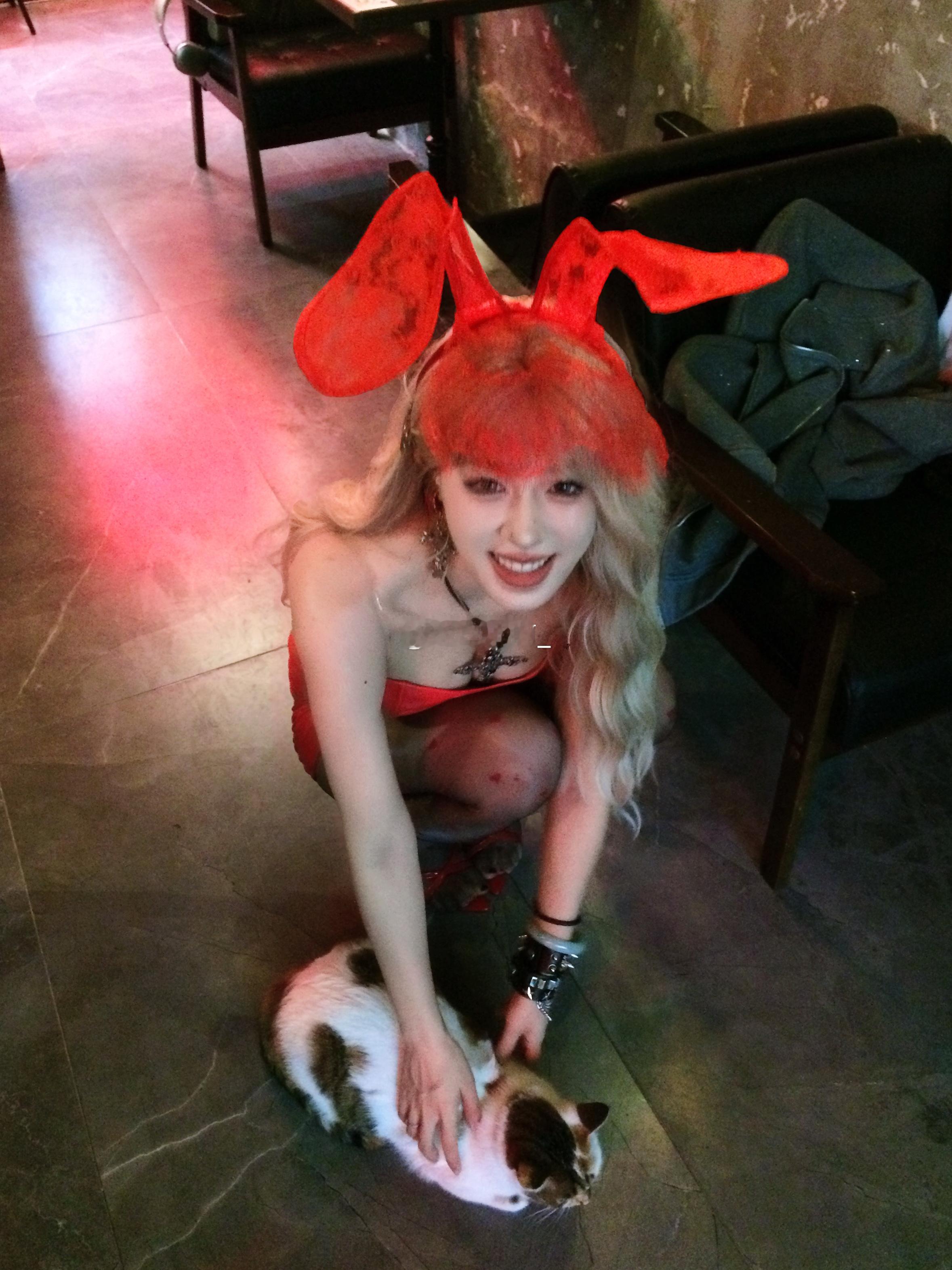 猫狗双全 ​​​