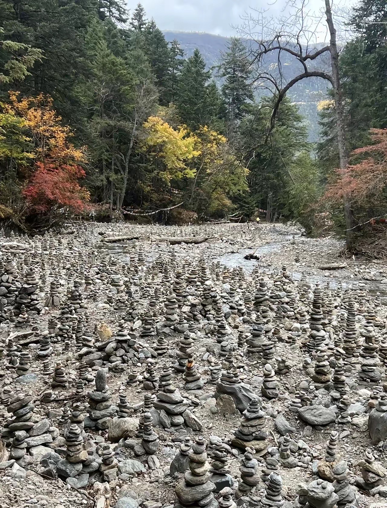 听说云南爬山前都要堆这种石头，是真的吗？ 