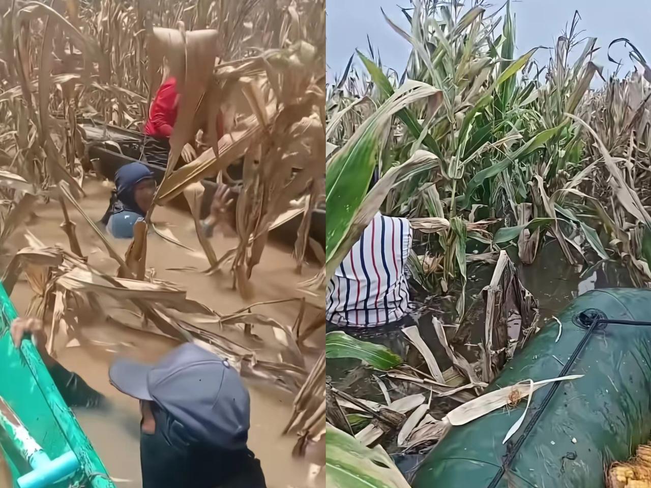 别再笑“敬天”是疯话了！
连下半月的雨
早给人类敲了警钟！
 
之前我扯“人得敬