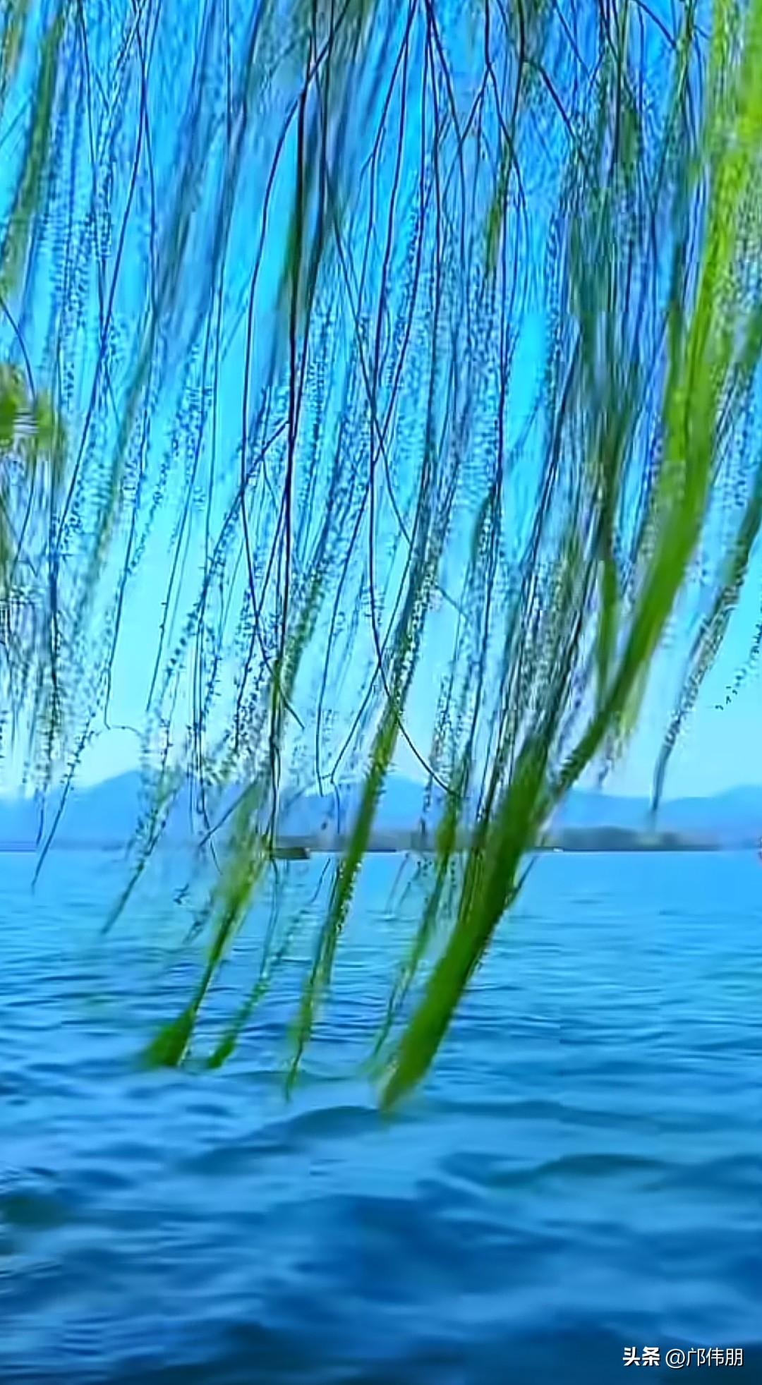 七律·浮生过影
半世尘途鬓染霜，
回看旧事尽微茫。
曾经壮志凌云际，
终作清灯对