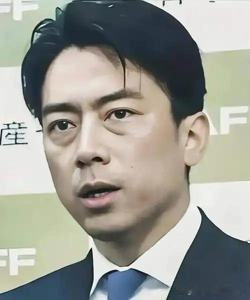 小泉进次郎的言论极为挑衅，完全是一副要跟我们对着干的架势！

2026年7月，在