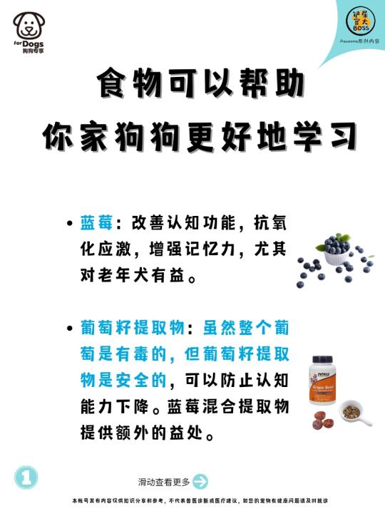 食物可以帮助你家狗狗更好地学习