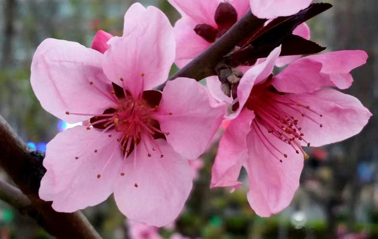 所谓内心丰富的人，就是在和别人一样看同一件事物的时候，他可以看见别人看不见的东西