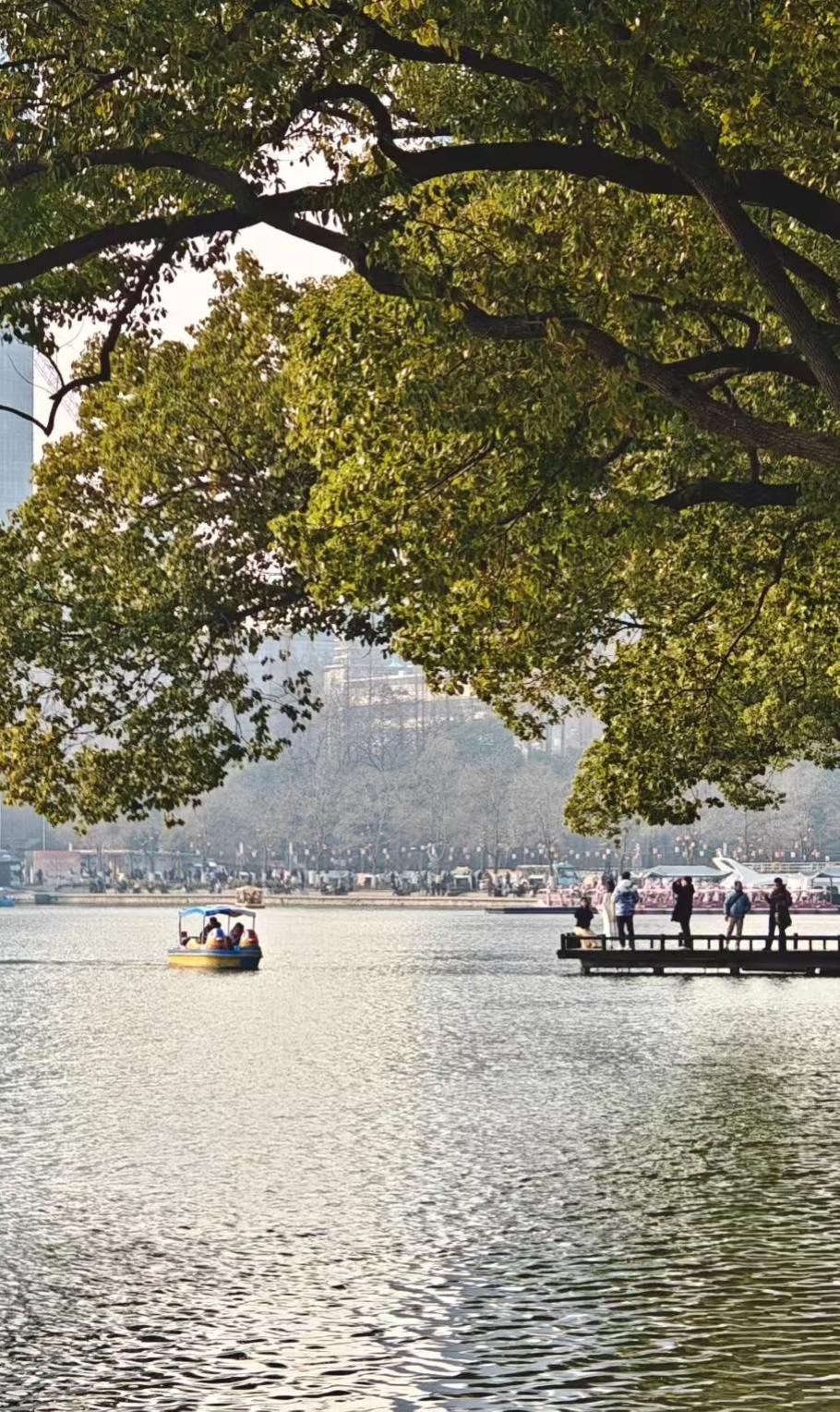 躲在樟树下的阴凉里，看阳光在湖面跳碎金，小船慢悠悠晃着，风里都裹着松弛的味道。