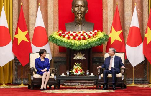 10月23日，日本官方正式宣布，越南书记苏林将于11月8日至11日访日。期间，苏