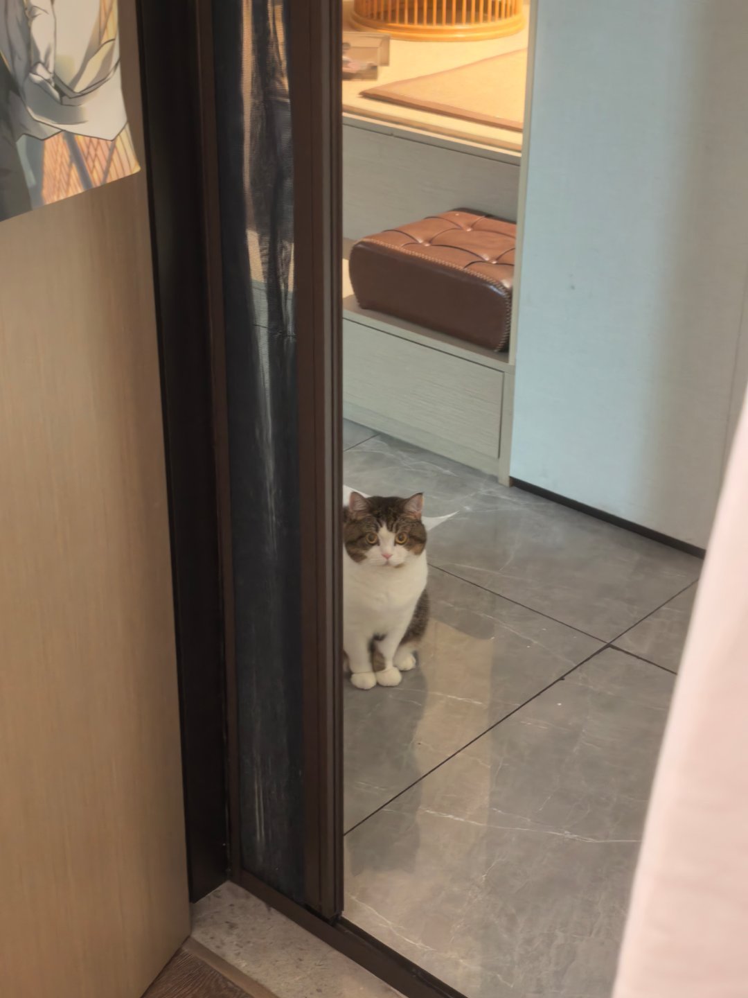 小贼… ​​​