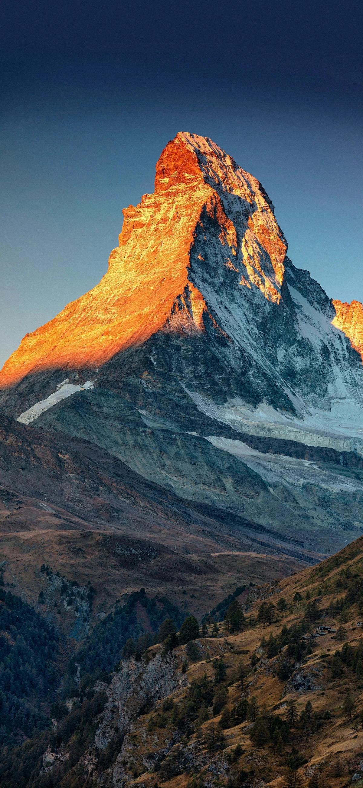 新的一年，所求皆所愿。