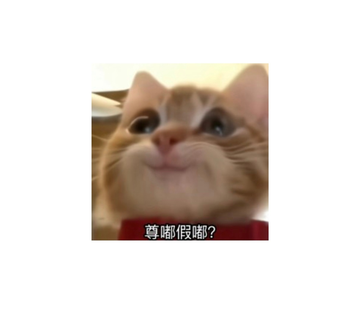 月薪15000每月只花1000块在杭州这个花销我都感觉真的太太太太牛了吧，我一个