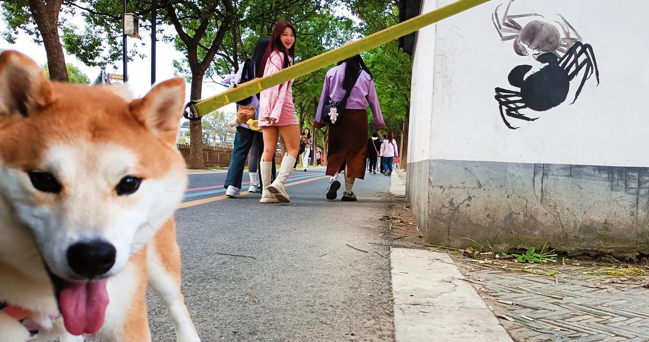 大闸蟹的故乡---阳澄湖之旅