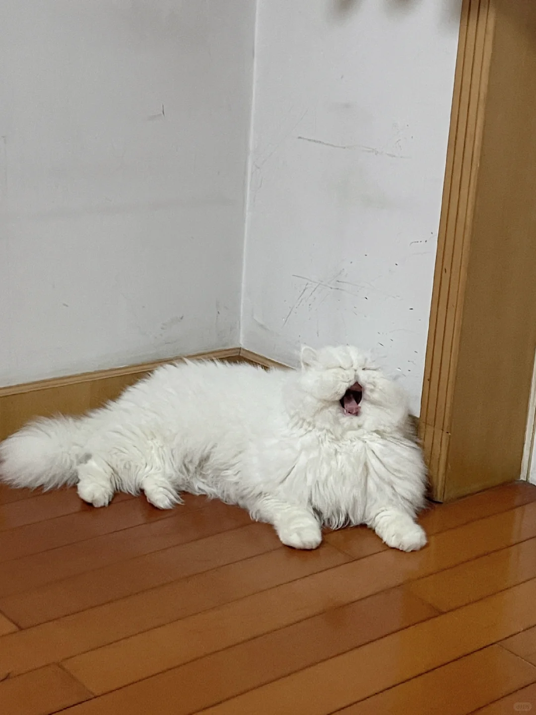 假期愉快