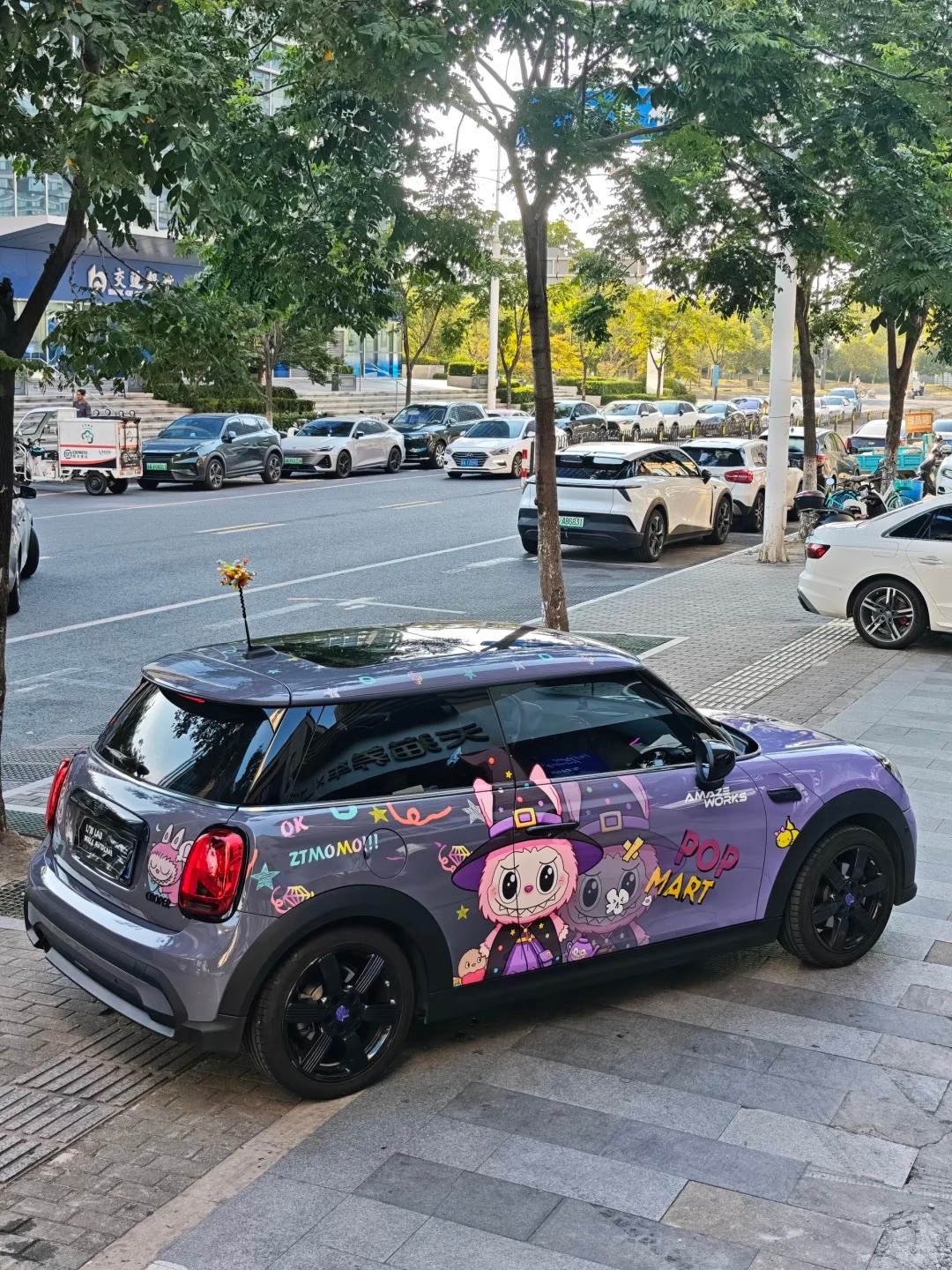 好可爱的小mini！谁懂！ ​​​