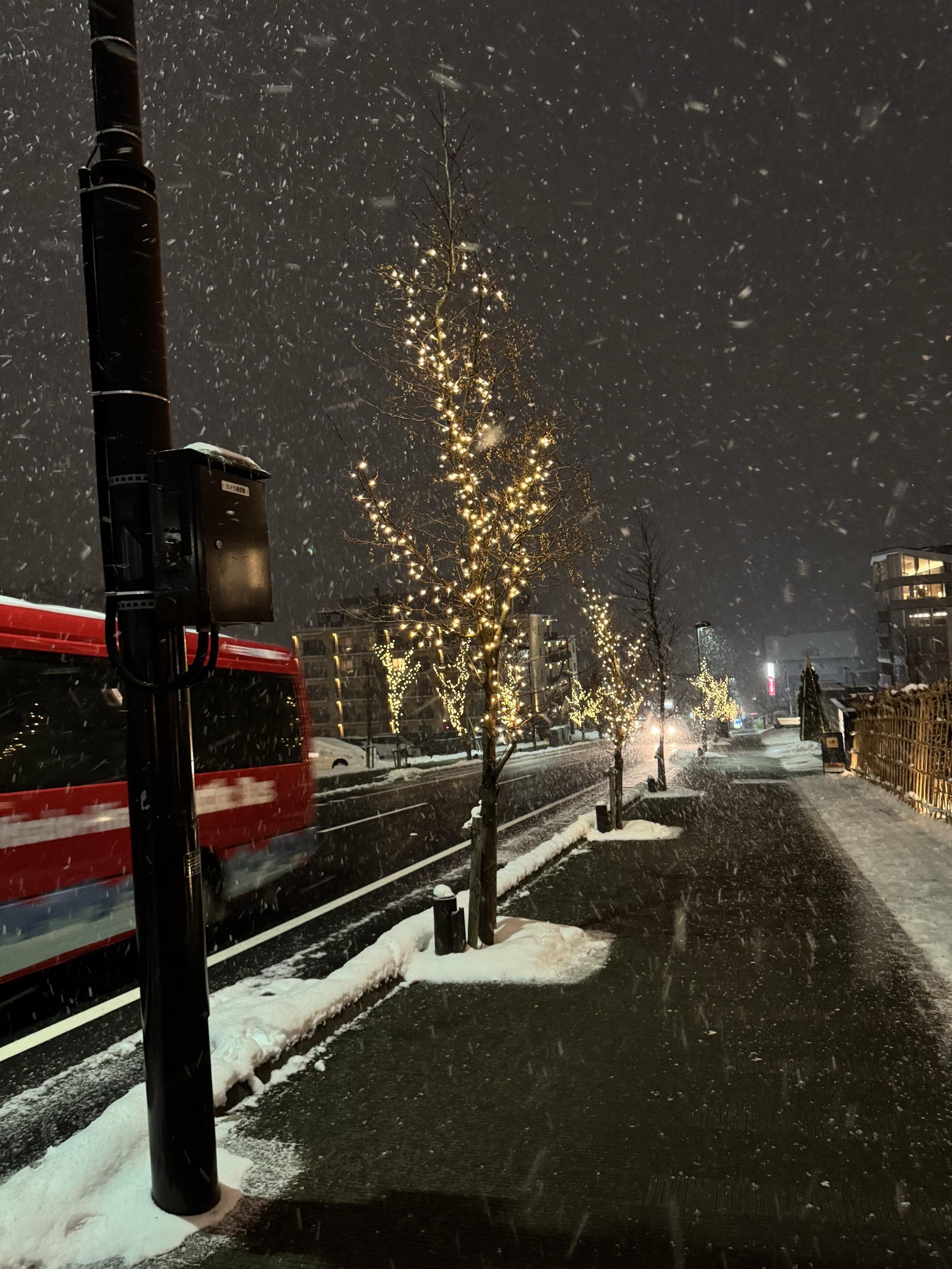 浪漫雪景❄️。    滑雪日常