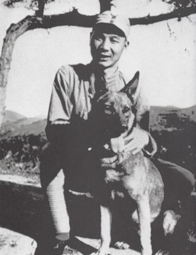 一分区部队有次端鬼子炮楼，缴获了一头狼犬，杨成武挺喜欢，养在司令部里，结果参谋长