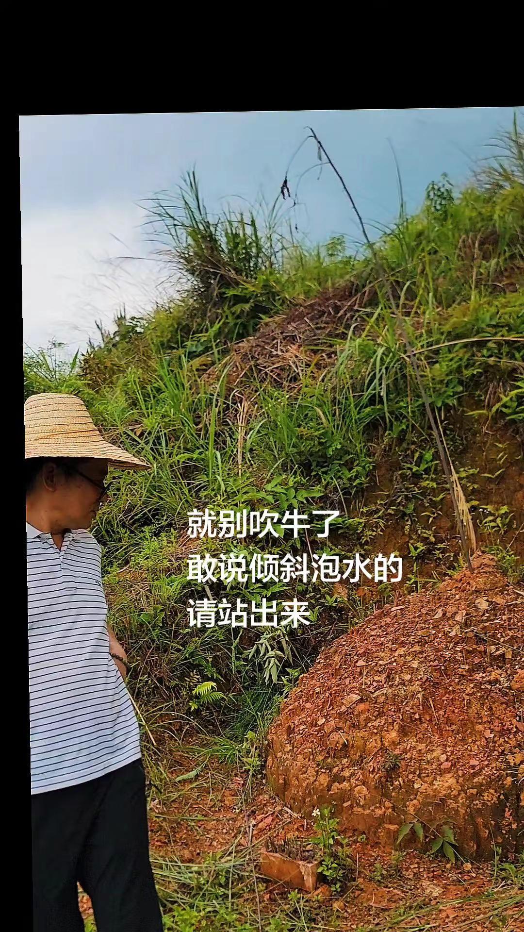 是驴是马？