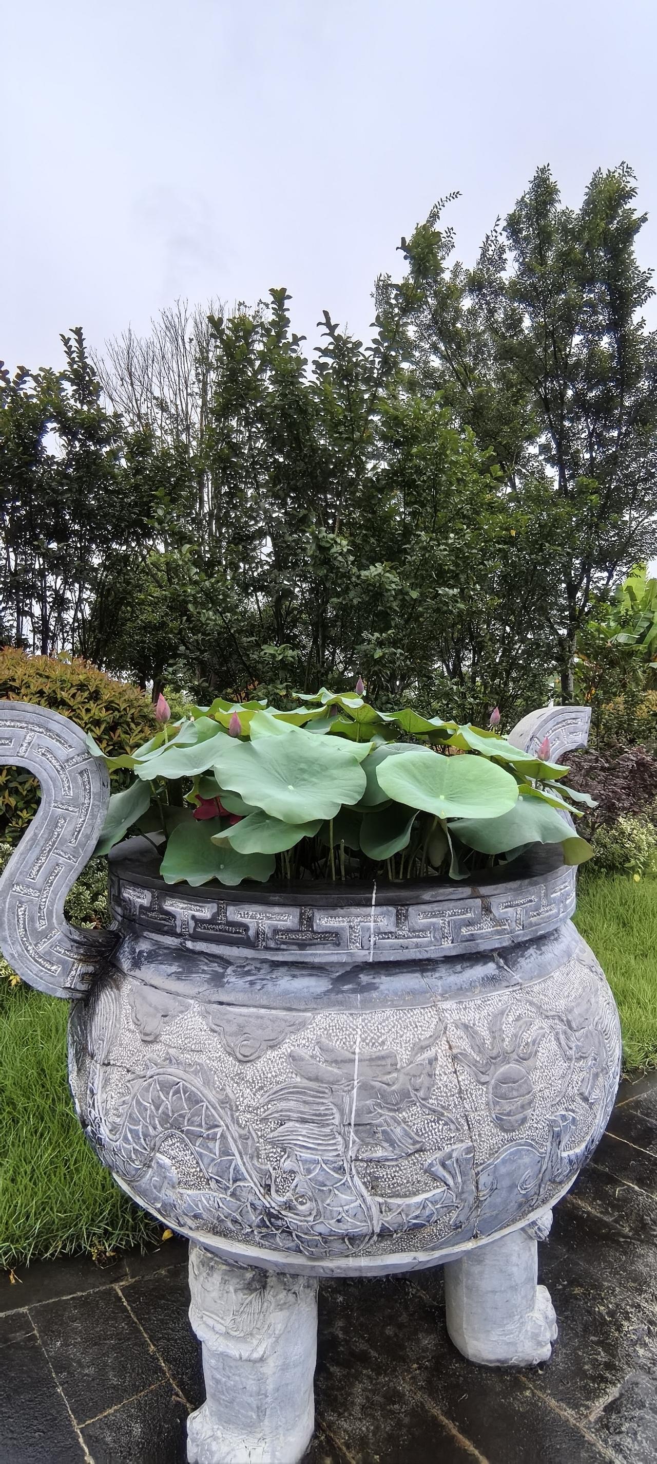 中国国家足球队与世界足球的差距:前者为利益而战，后者为足球而战。