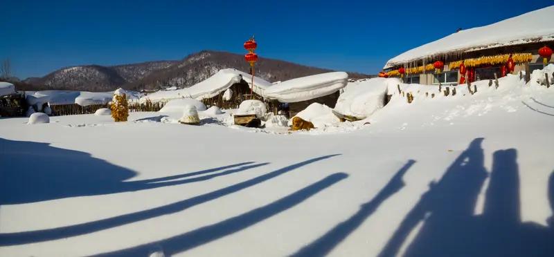 东北冰雪旅游爆火不是没道理。它成功把“冷资源”变成“热经济”，靠的是科技、服务和