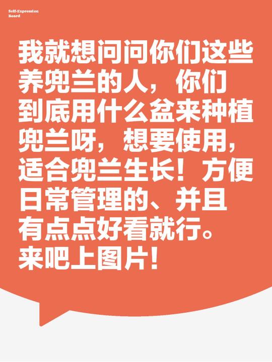 我就想问问你们这些养兜兰的人，你们到底用什么盆来种植兜兰呀，想要使用...