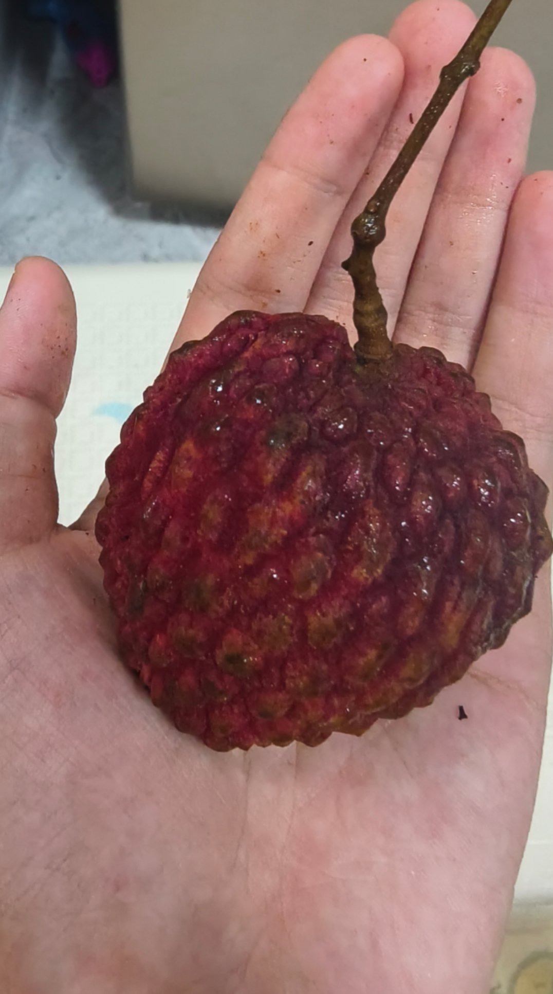 最好吃的荔枝排名猜猜我这比巴掌大的是什么品种[害羞] ​​​