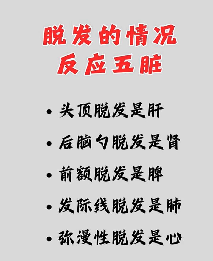 脱发位置不一样，对应的脏腑也不同