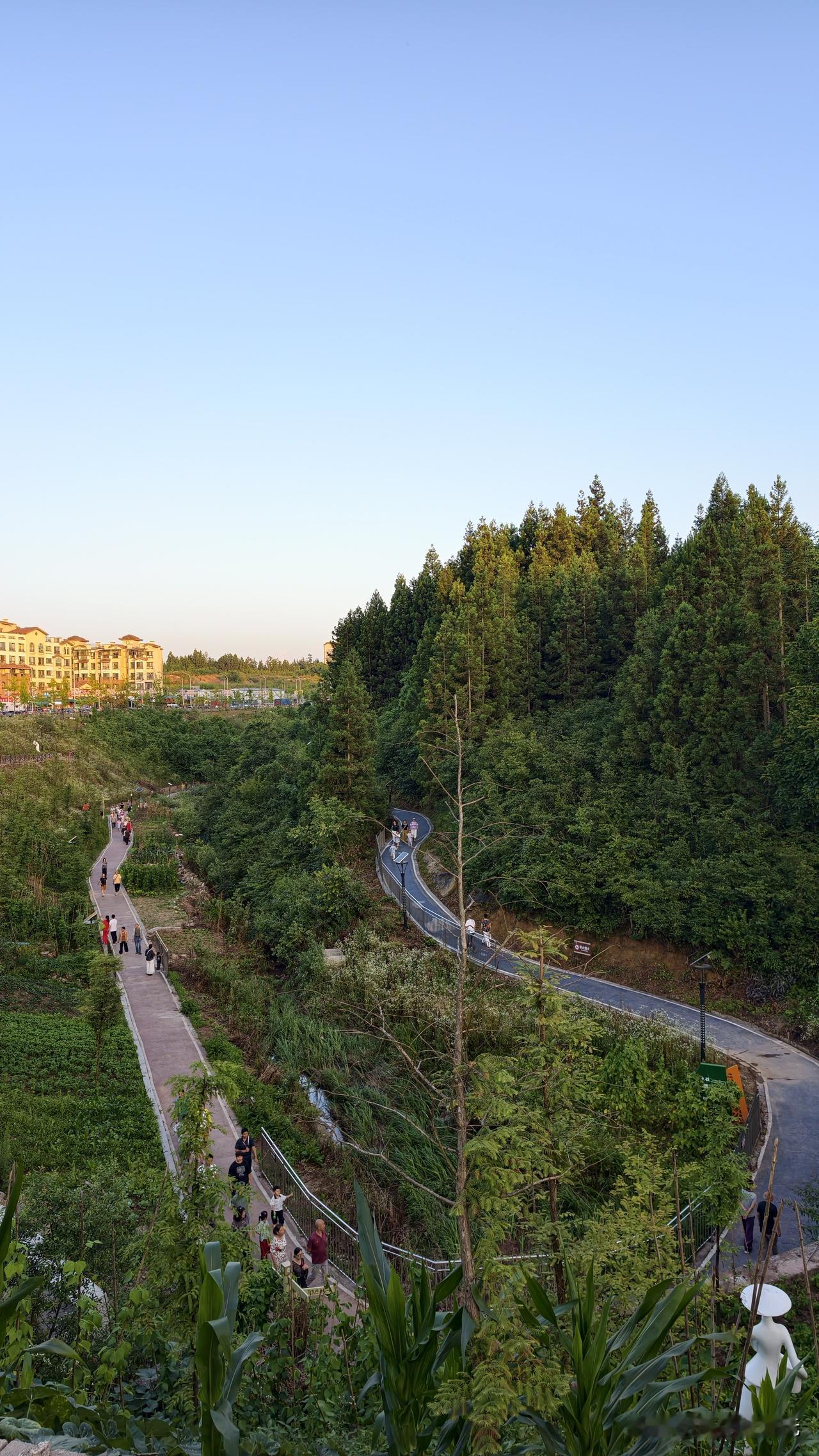 每天早晚黄水湿地公园散步的避暑人员非常多，就在华宇小区门前，该小区有6千多户！黄