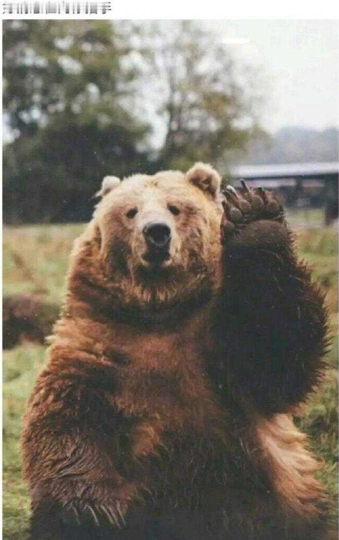 据说转发这个会有好运债务清零，暴富暴美