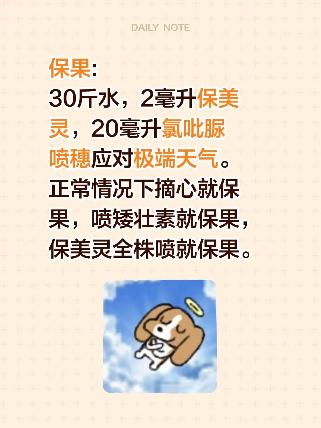 保果不是必须的。保果:30斤水，2毫升保美灵，20毫升氯吡脲喷穗应对极端天气。正