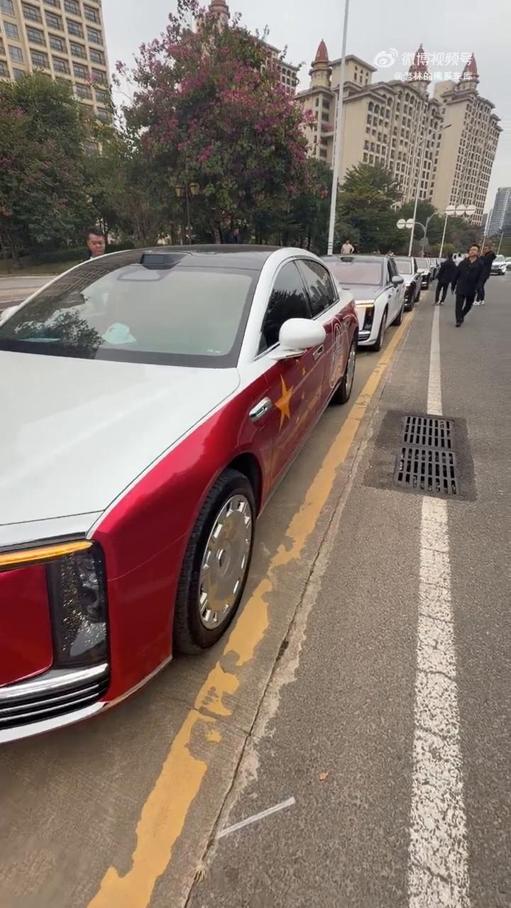 尊贵的s800车主，十几排，这里一个车队，什么颜色都有了，基本上这个才刚上牌。大