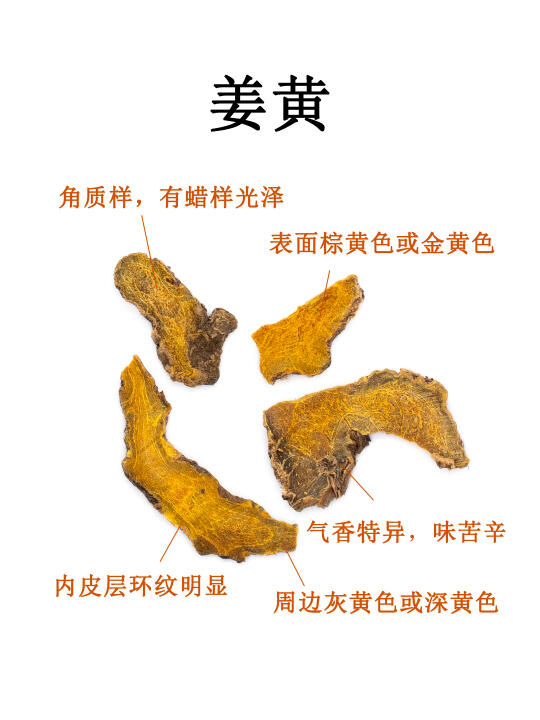 中药图鉴｜姜黄