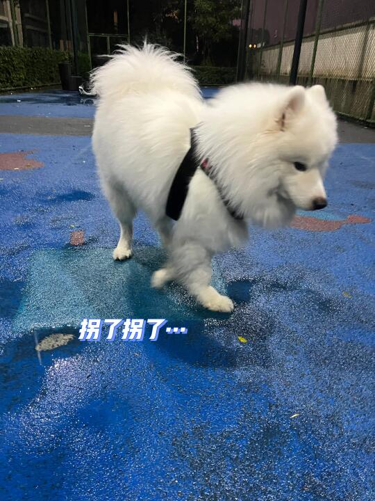 今晚在篮球场哦不见不散👋