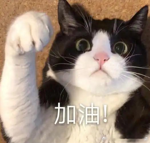 沈佳润向毛不易道歉孩子挺真诚，但是真诚是人格，专业是技术，还要打磨技术，距离专业