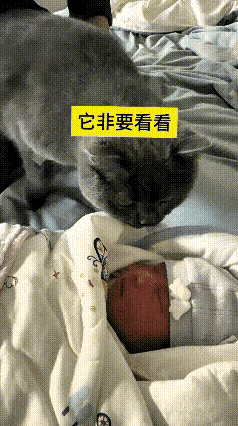 这视频我翻来覆去看了好几遍，看完心里软乎乎的。家里刚出生的小宝宝躺在床上，家里的