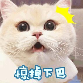 我要不是看见了这两个双井号热搜，我都想不到河北的汽车保有量居然这么多？居然是全国