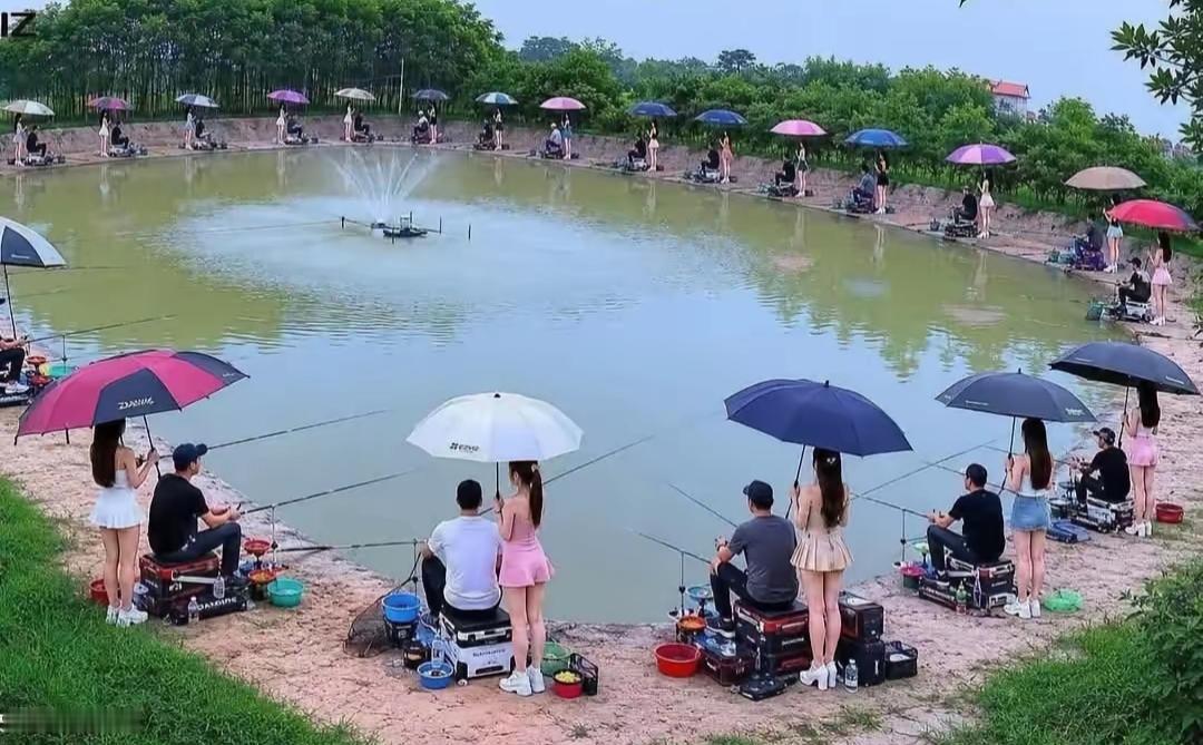 发现个好地方，这里钓鱼服务好，你说这能钓到鱼吗？