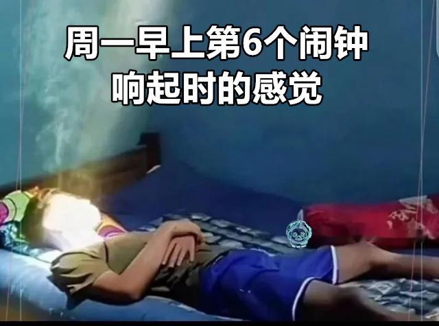 命（9gag）今日meme今日memes