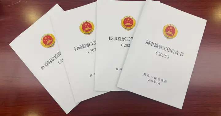 “足球领域系列职务犯罪案件”，写入最高检白皮书