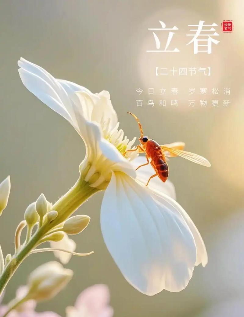 立春的“立”，核心就是建始、开始
 
《月令七十二候集解》明确：“立，建始也”，